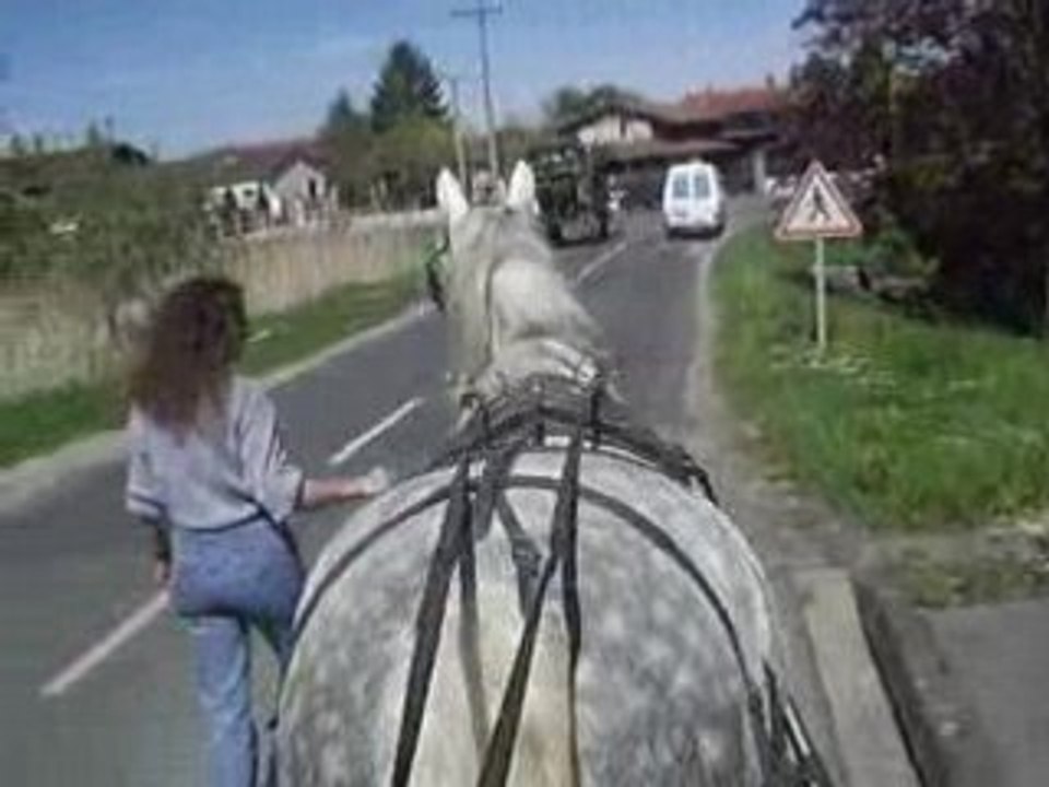 Gringo et le tracteur