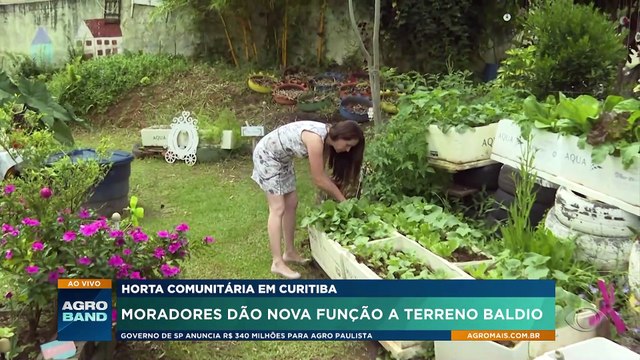 Horta comunitária: moradores dão nova função a terreno baldio