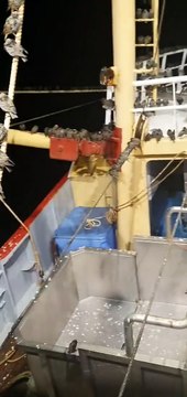 Des milliers d'oiseaux migrateurs font une petite pause sur un bateau