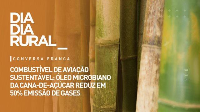 Combustível de aviação sustentável: óleo microbiano da cana-de-açúcar reduz em 50% emissão de gases