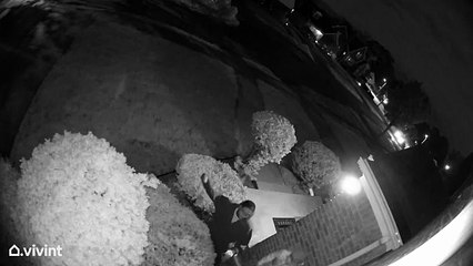 WANTED: 2 suspects who firebombed rental home in Detroit