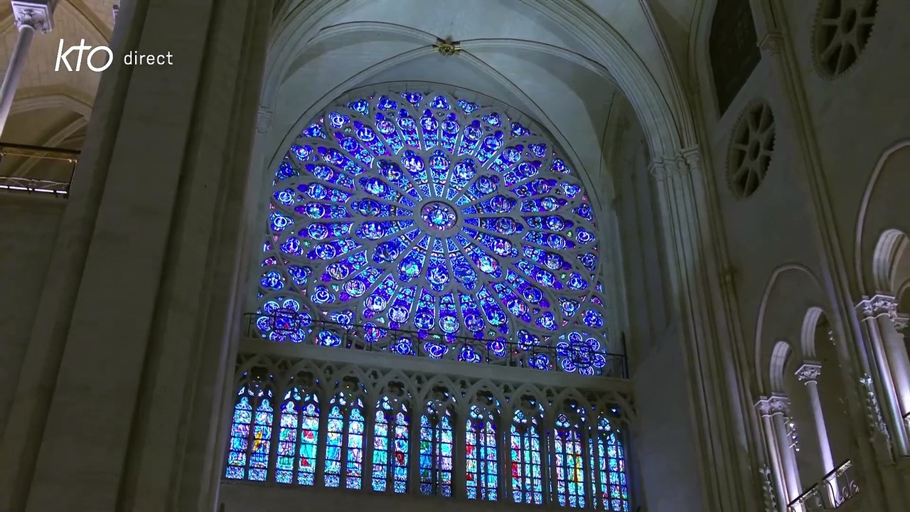 Messe en la solennité de l'Immaculée Conception à Notre-Dame de Paris | 9 décembre 2024 à 10h30