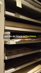Les secrets cachés des musées célèbres