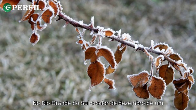 Rio Grande do Sul enfrenta frio intenso, CTB alerta motoristas e revela melhores carros elétricos de 2024