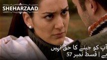 آپ کو جینے کا حق نہیں ہے| Sheharzaad - قسط نمبر 57