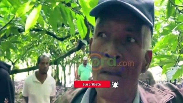 Encuentran ahorcado hombre que ultimó a machetazos a su pareja en Boca de Colon SFM