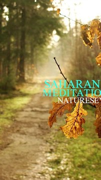 ✅💘Música de meditação para energias positivas- Fragmentos #17