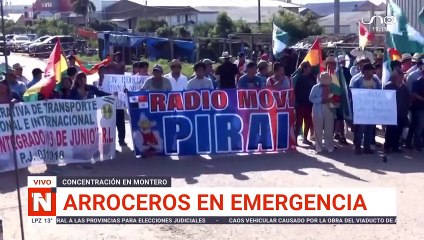 Arroceros en emergencia