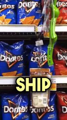 Noah’s Ark in Real Life - Sufi Meditation Center