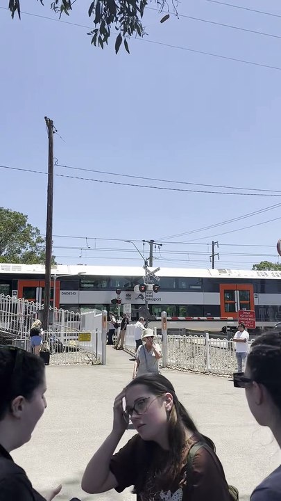 Passengers say they were stuck on a Mariyung train from Newcastle after doors failed to open | Newcastle Herald | December 12, 2024