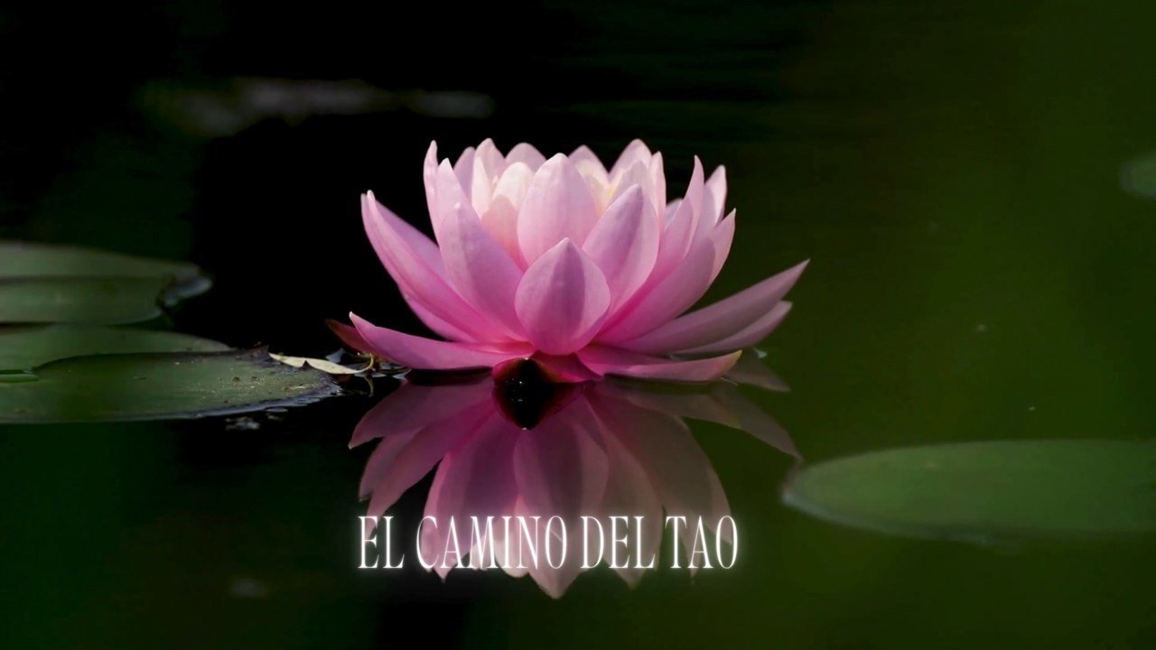[#Podcast] Tao meditación - Tao meditation