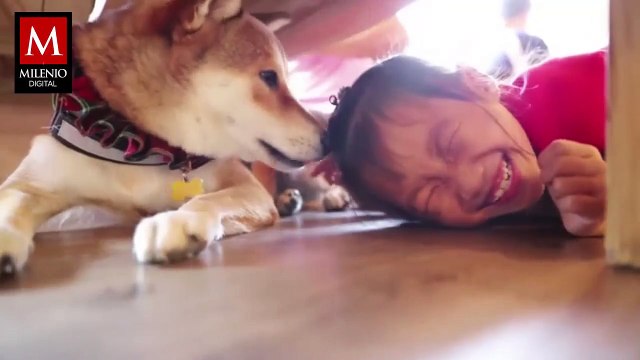 ¿Puede mi perro detectar si sufro de depresión o ansiedad?