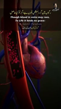 Kirad Ke Paas Khabar Ke Siwa Kuch Aur Nahin - Dr. Allama Iqbal Poetry