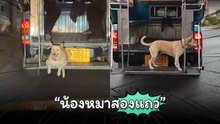 นี่กระเป๋ารถหรือผู้โดยสาร ดูวิวชิลเลย !