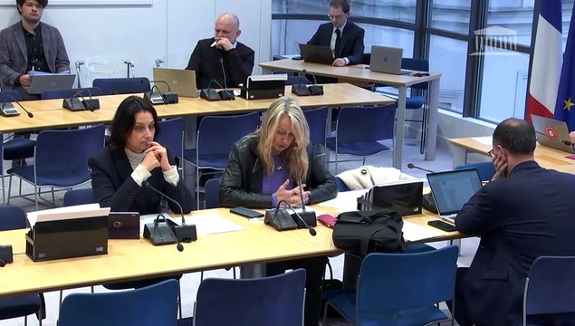 Commission des affaires européennes : Relations contractuelles des centrales d’achats de la grande distribution avec les producteurs - Mercredi 11 décembre 2024