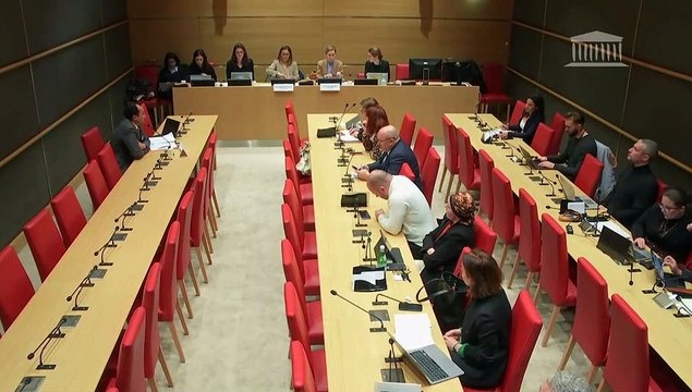 Manquements des politiques de protection de l’enfance : M. Manaf El Hebil, directeur général du groupe Domino RH ; Dr Anne Raynaud, psychiatre, directrice de l’Institut de la parentalité - Mercredi 11 décembre 2024
