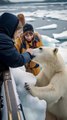 Polar Bear s Heartwarming Rescue! #polarbearrescue #wildlifeconservation #arcticanimals