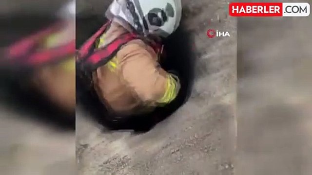 Kuyuya Düşen Yavru Köpek İtfaiye Tarafından Kurtarıldı