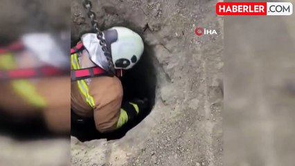 Kuyuya Düşen Yavru Köpek İtfaiye Tarafından Kurtarıldı