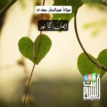 VID-20241212-WA0029