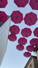 Pink umbrella in France