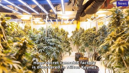 Milton Keynes Citizen Morning Update 12 December, 2024