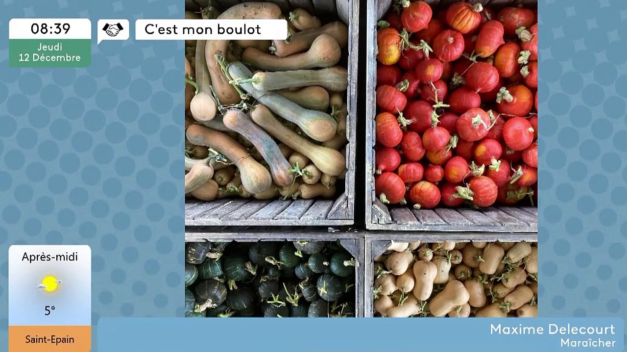 C'est mon boulot - C'est quoi un maraicher ?