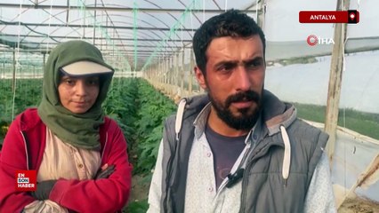 Türkiye'de evlenen çift: Esad'ın yaptığını bize gavur yapmadı