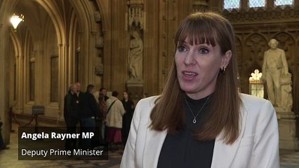 Rayner defends plans to bypass local housing committees