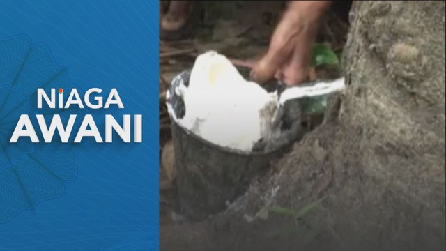 Pengeluaran getah asli Malaysia catat peningkatan 20.6 peratus