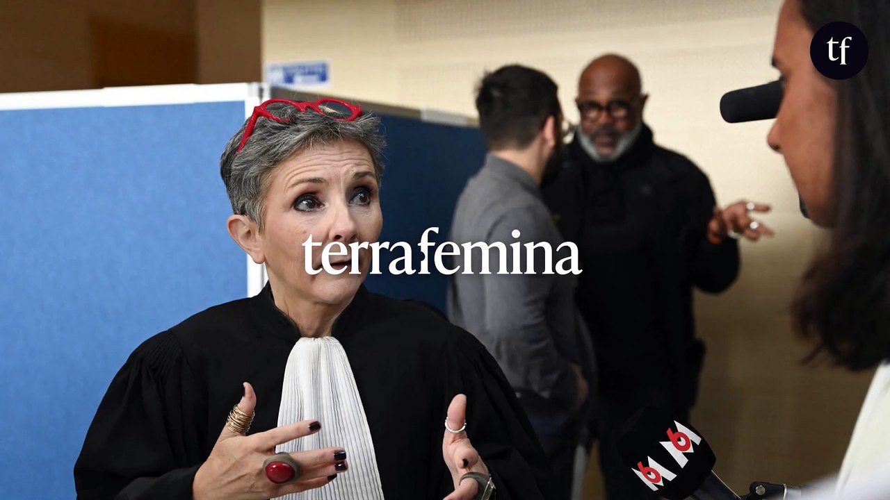 "Mon client a le QI d’un vibromasseur", "C'est un jeu sexuel" : au procès de Mazan, le pire des plaidoiries des avocats de la défense