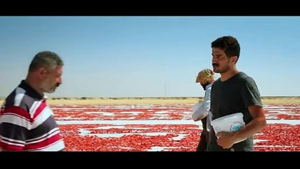 Hemme'nin Öldüğü Günlerden Biri