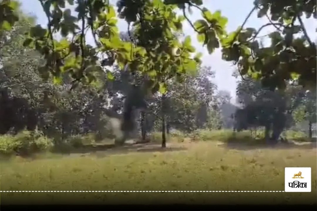 नक्सलियों की साजिश नाकाम