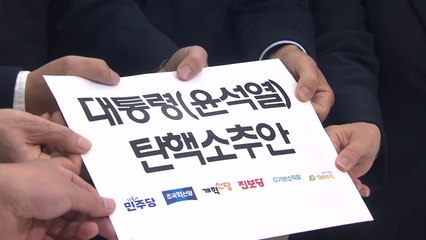 두 번째 윤 대통령 탄핵소추안 발의..."국민 신임 배반" / YTN