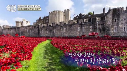 ※충격과 공포※ 영국=맛 없는 음식?! 영국을 대표하는 음식은 사실... 인도 카레!?(feat.국적논란)