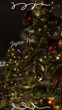 Joyeuses fêtes 🎁