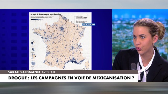 Sarah Saldmann : «Plus il y a de l'immigration, plus il y a du trafic de stupéfiants»