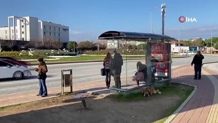 Deprem fena salladı