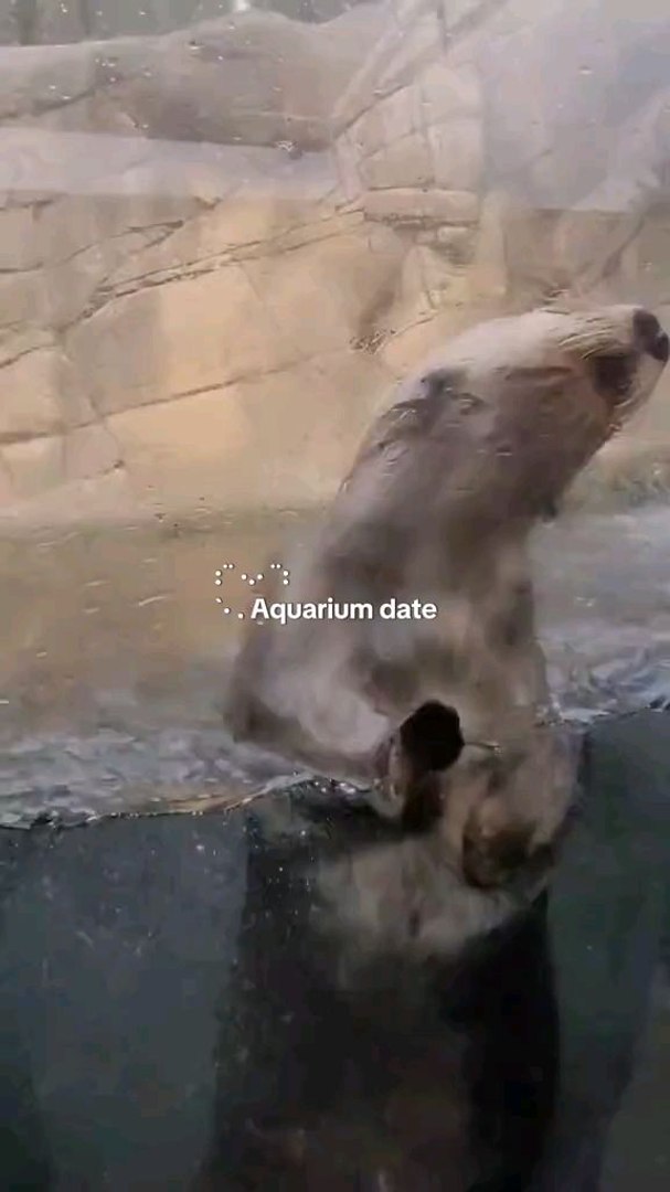 ⁣Aquarium date