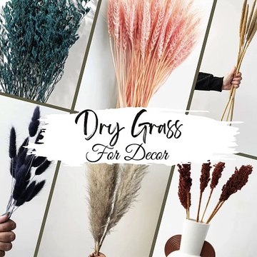 Elevate Your Decor with Dried Grass Arrangements