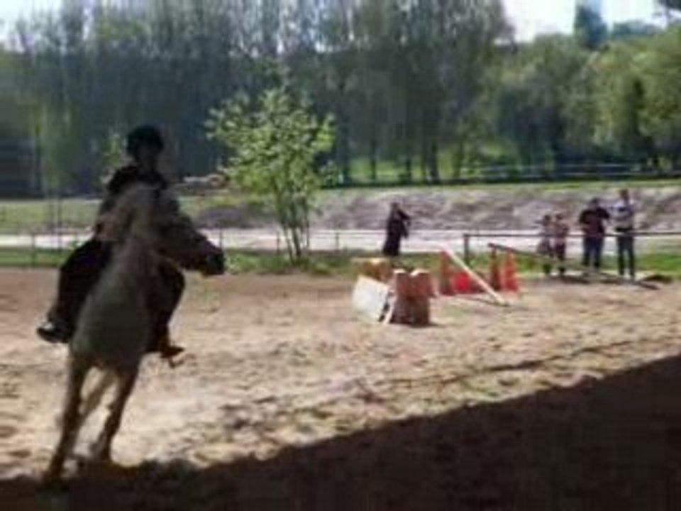 Photo 010