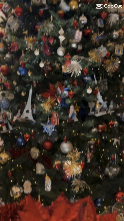 Christmas in paris