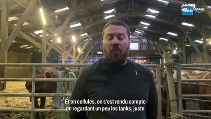 Alexis Jouniaux fait 13 traites par semaine sur ses jersiaises