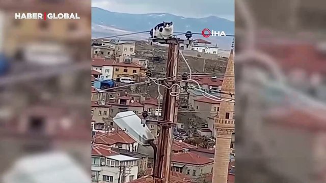 Elektrik direğinde mahsur kalan kediye itfaiyeden yardım eli