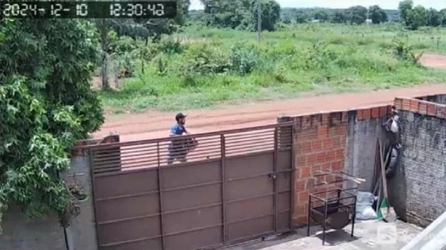 Homem furta caixa de cerveja enquanto motorista almoça; veja flagrante