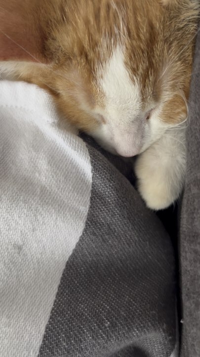 He fell alseep 🥹