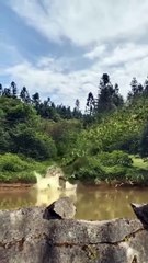 Quand le chasseur devient la proie et ainsi de suite