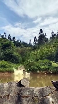 Quand le chasseur devient la proie et ainsi de suite