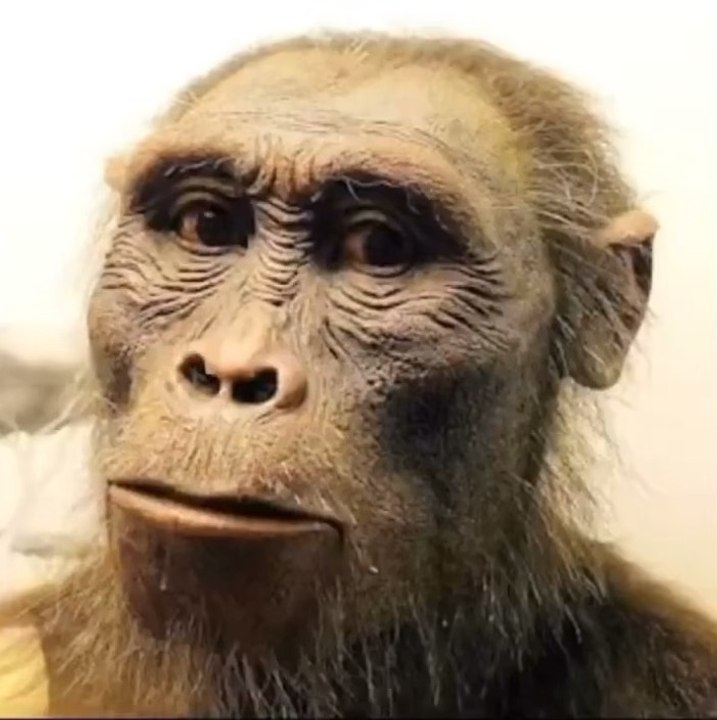 moi qui mange mon caca sucre nan je dec j’veux juste les 10k