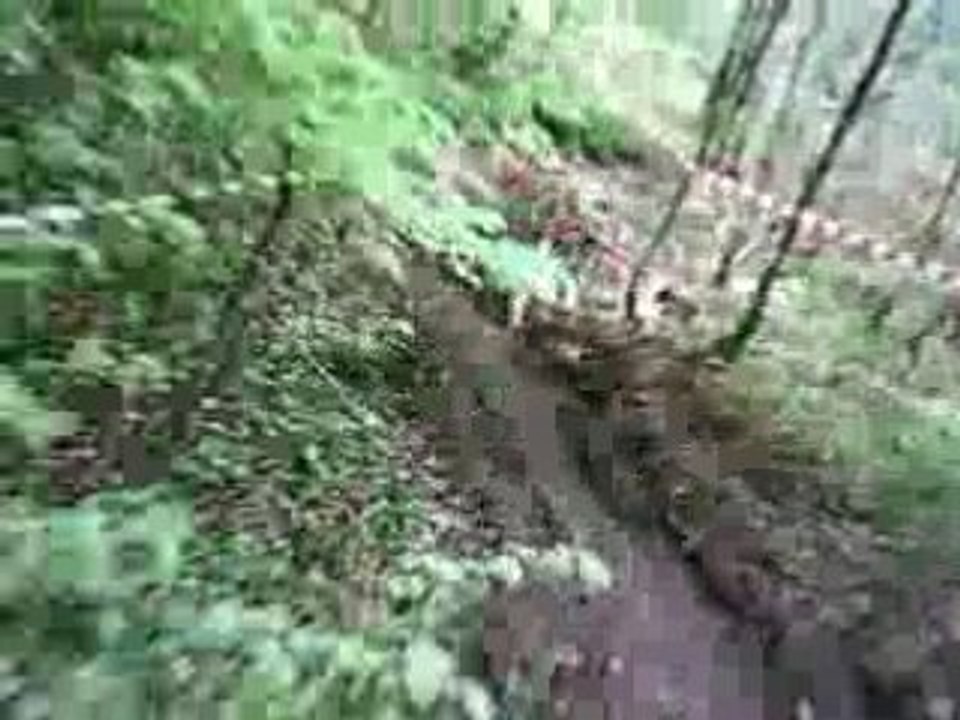 caméra embarquée a savigny